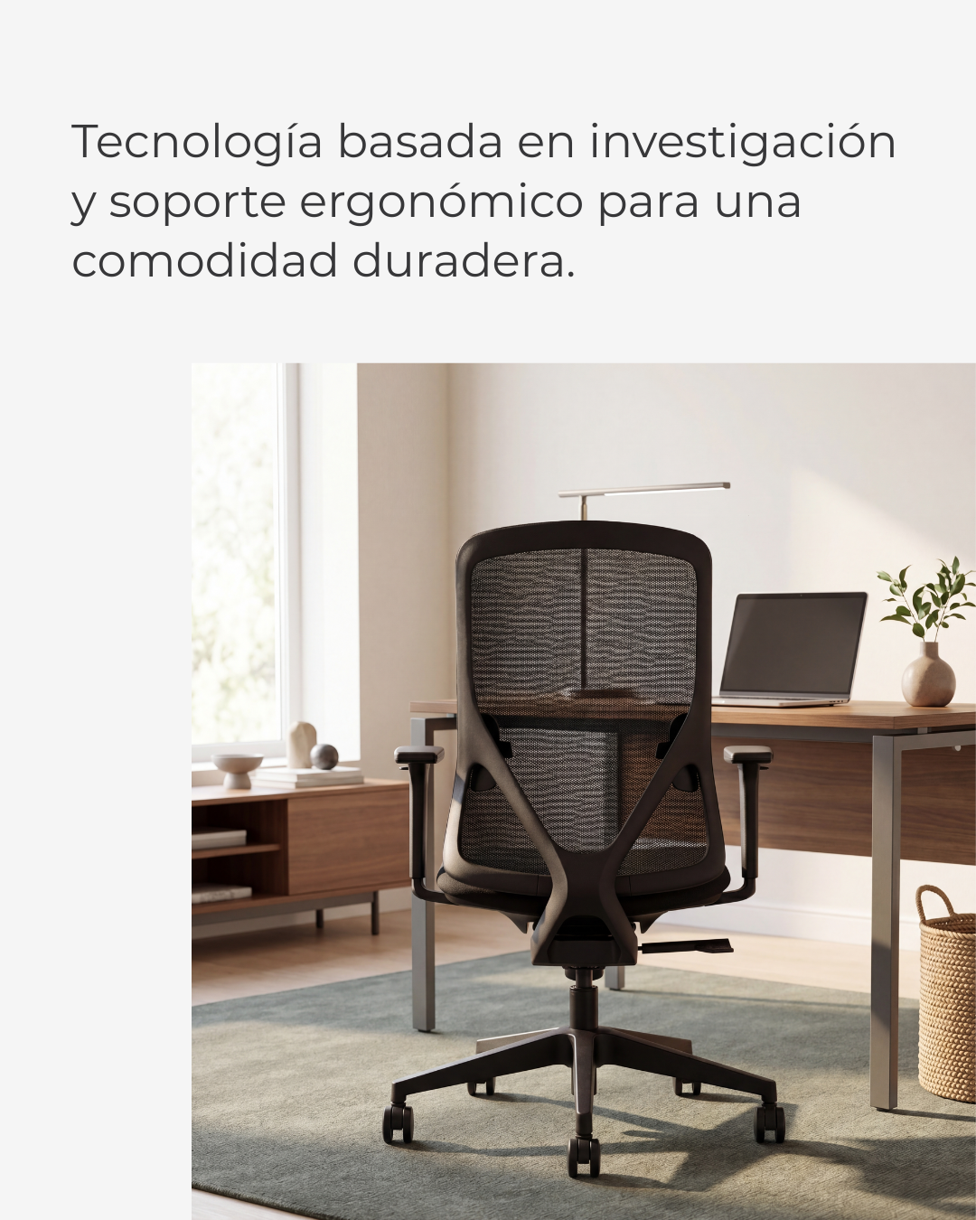 Silla Ejecutiva de Oficina Placidita