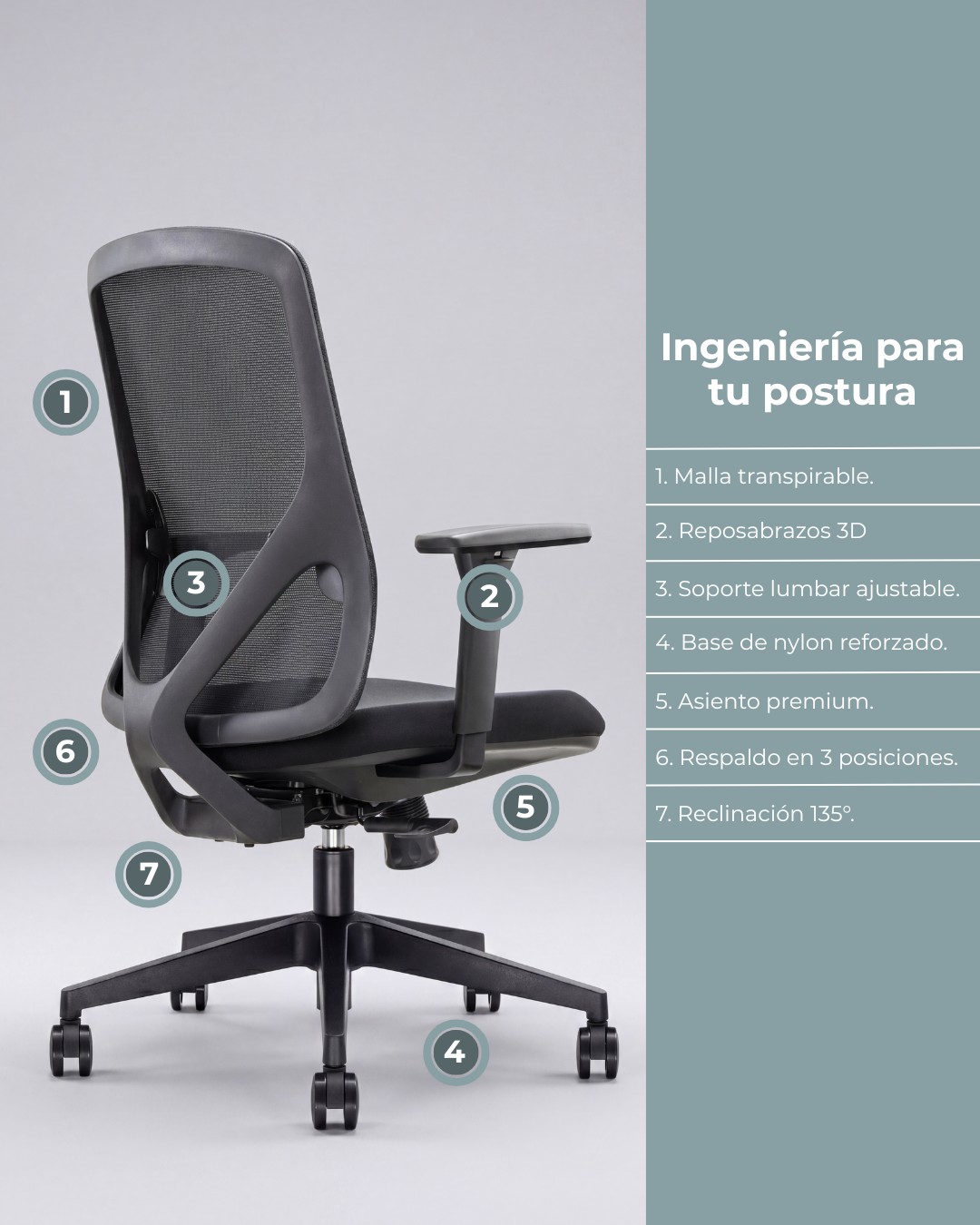 Silla Ejecutiva de Oficina Placidita