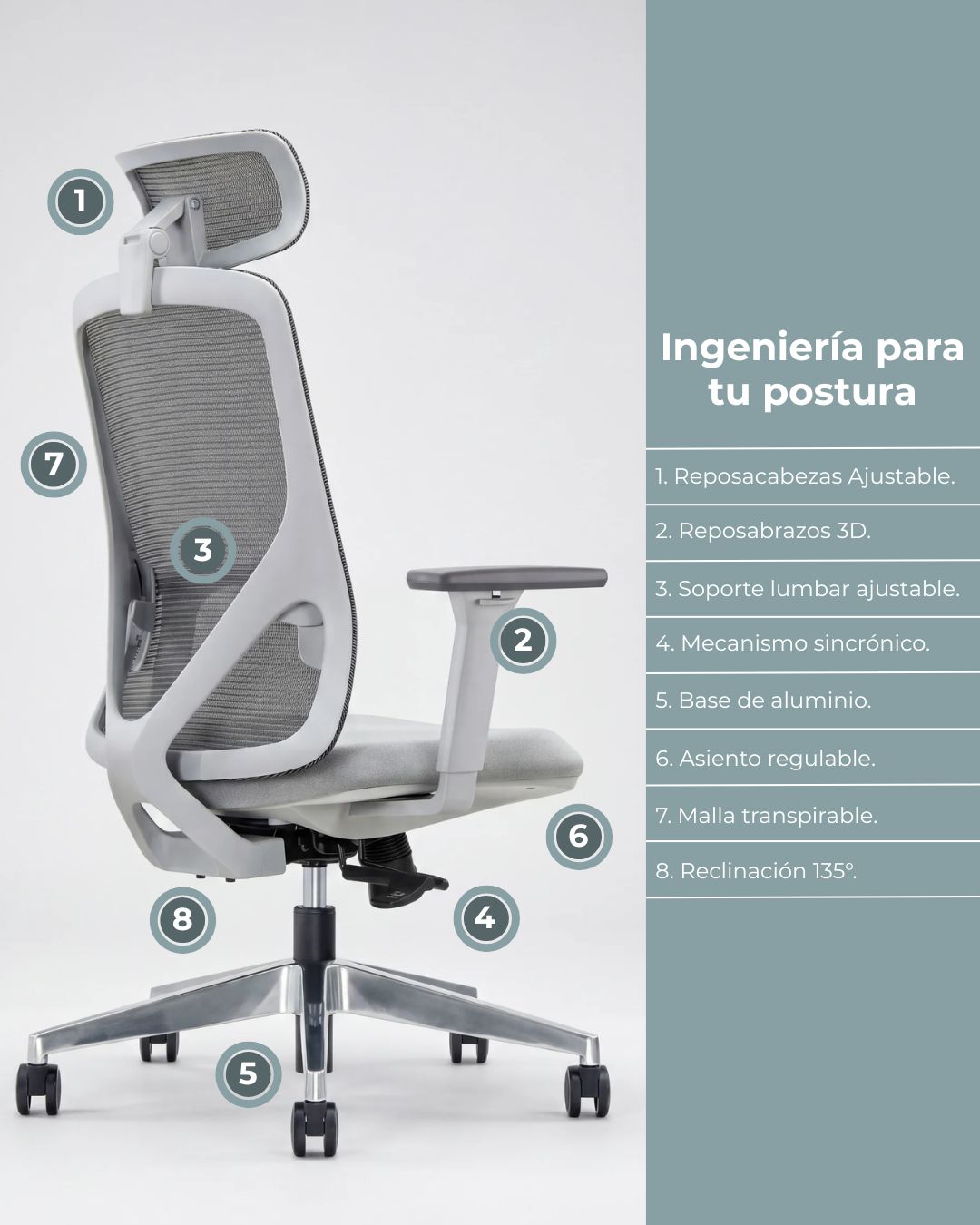 Silla Gerencial de Oficina Placidita Plus
