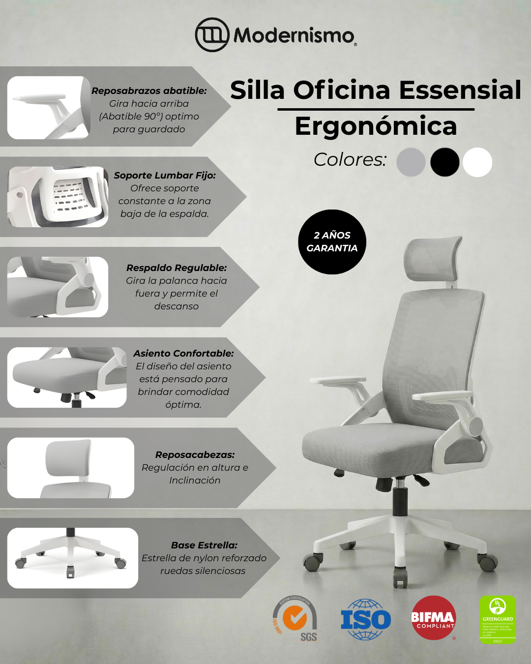 Silla Ejecutiva de Oficina Ergonomic Essential