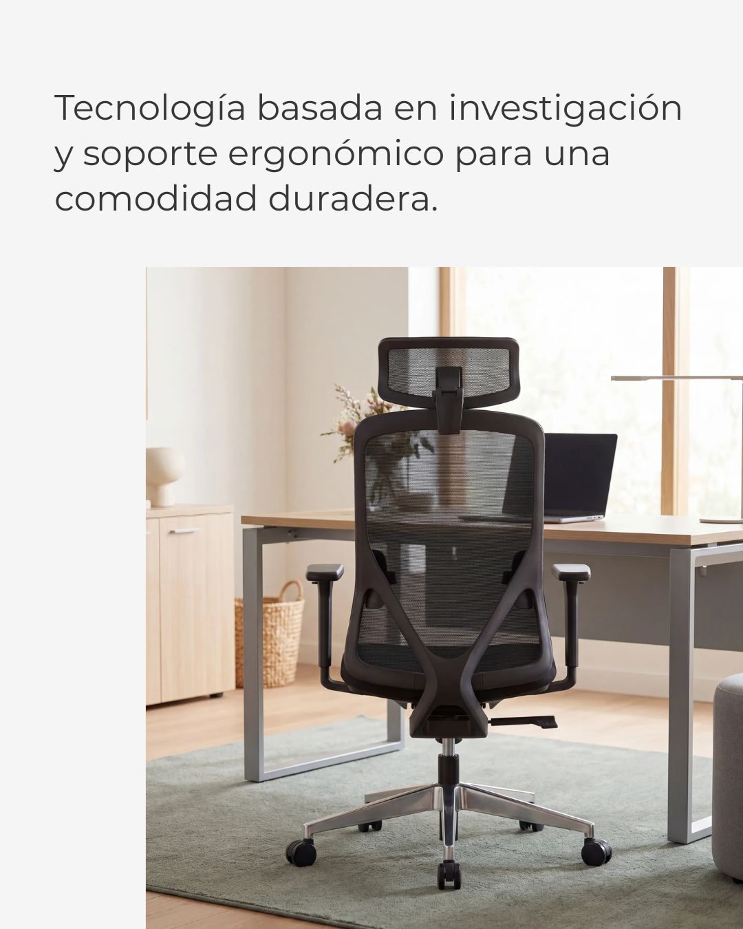 Silla Gerencial de Oficina Placidita Plus