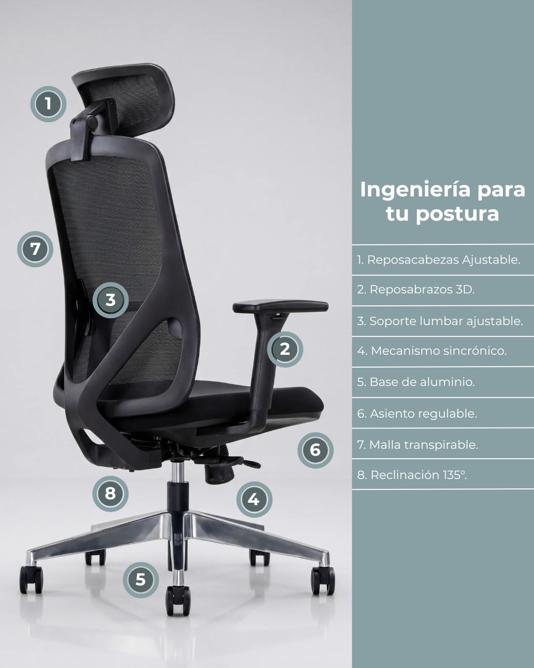 Silla Gerencial de Oficina Placidita Plus