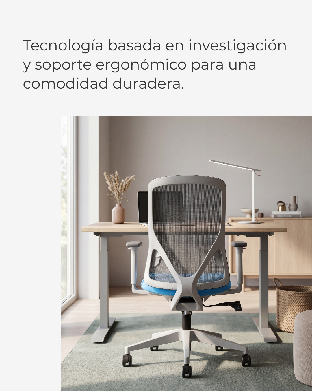 Silla Ejecutiva de Oficina Placidita