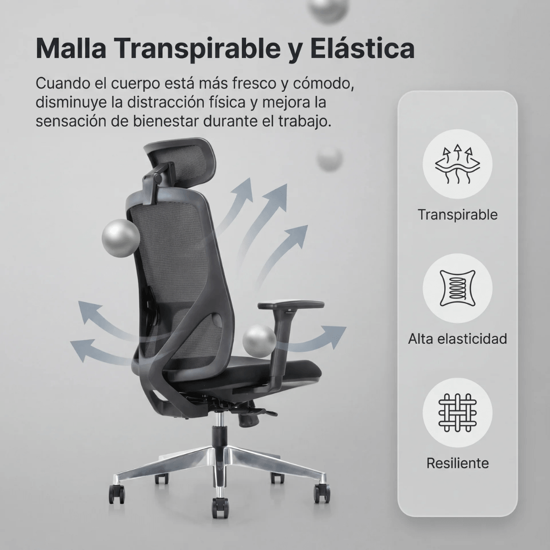 Imagen de la cuadrícula