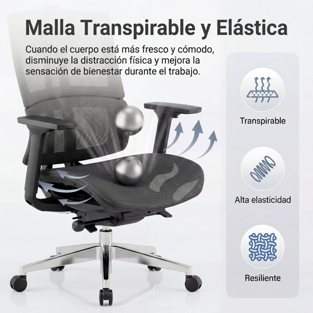 Imagen de la cuadrícula