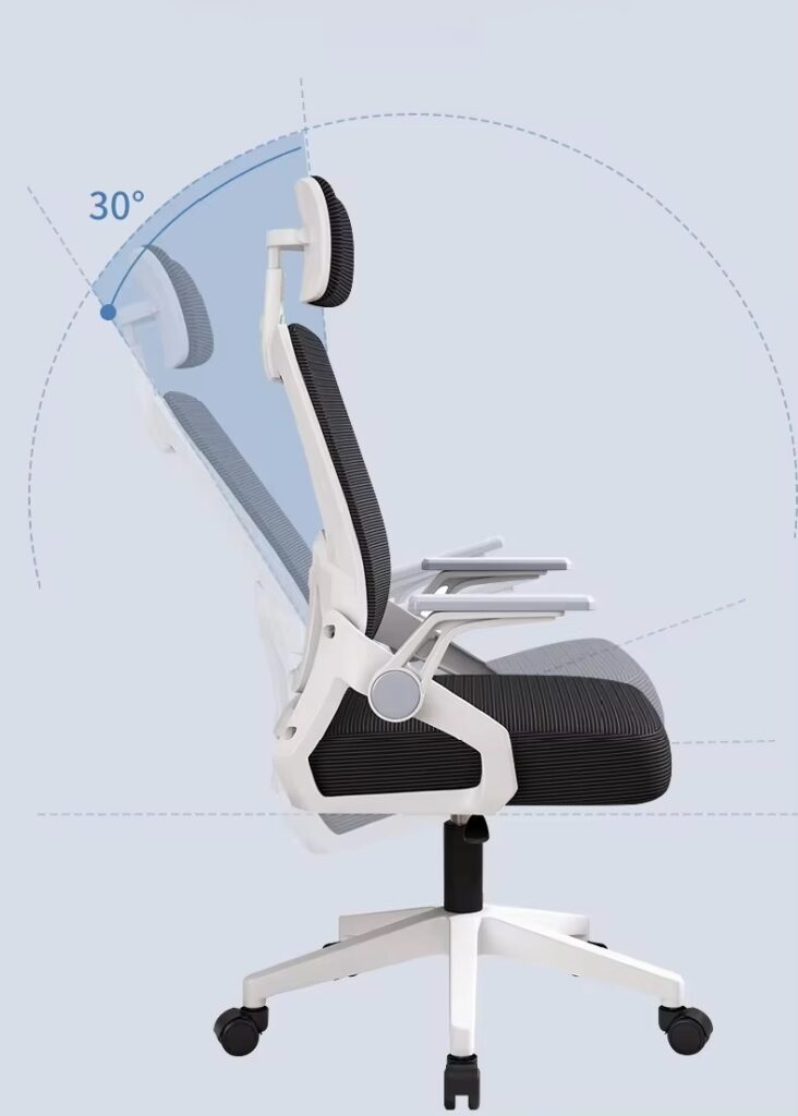 Silla Ejecutiva de Oficina Ergonomic Essential Gris